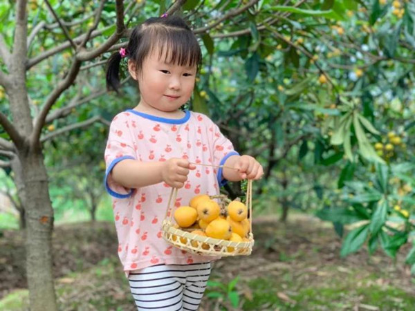 loquat hangzhou.jpg