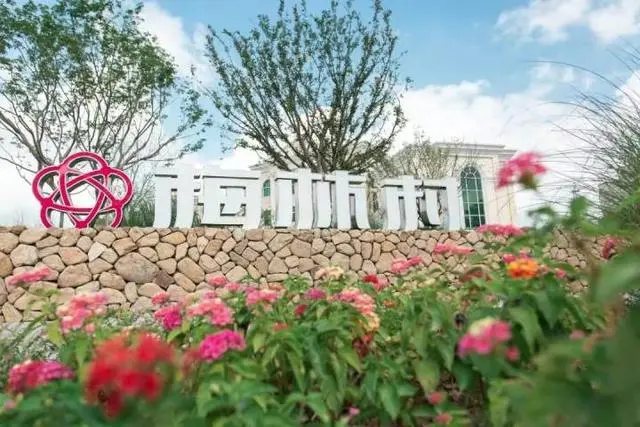 digital tech makes rural life in e china's zhejiang more enjoyable