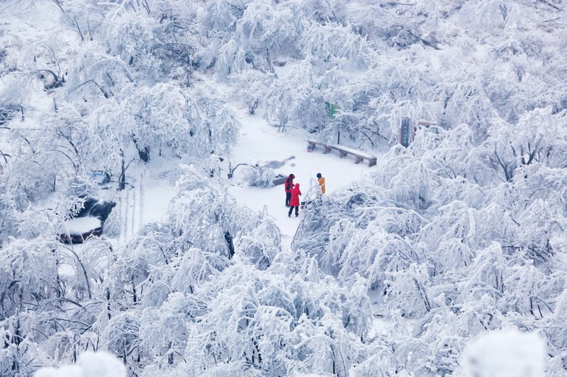 experience winter romance in yuhang: a budget-friendly alternative to hokkaido