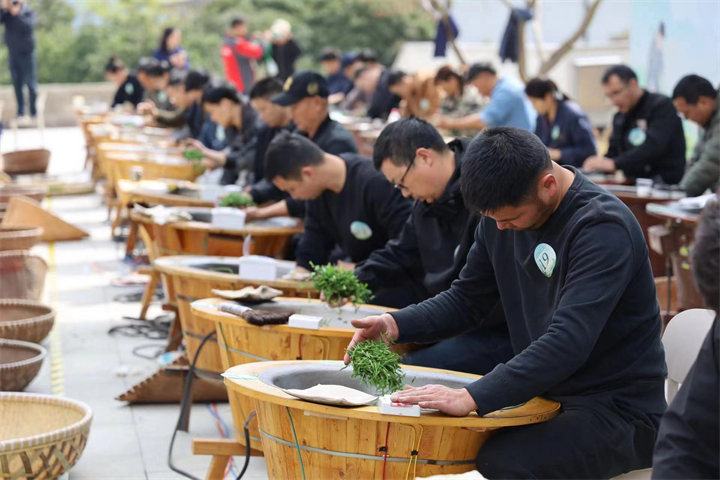 younger generation flocks to west lake longjing tea competition