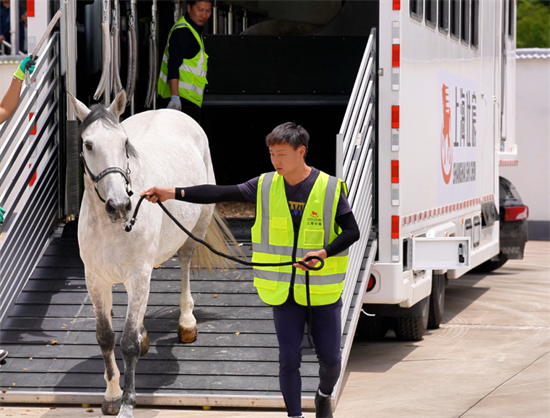 50 horses arrive for 2nd international equestrian open in tonglu