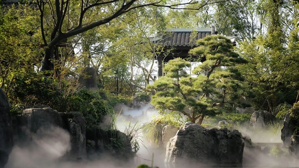 dream mountain path unveiled at jingshan tea culture park