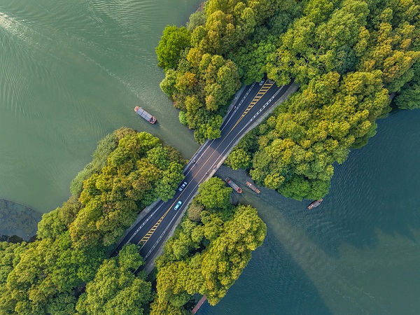 hangzhou's yanggongdi causeway reveals its natural greenery