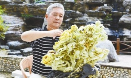 hangzhou expo to showcase skills of stone carving masters