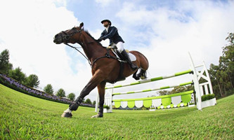 venue for equestrian events to start construction