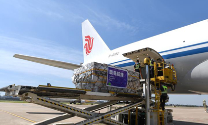 all-cargo air route linking hangzhou, madrid launched