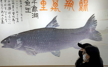 chun'an fish printing