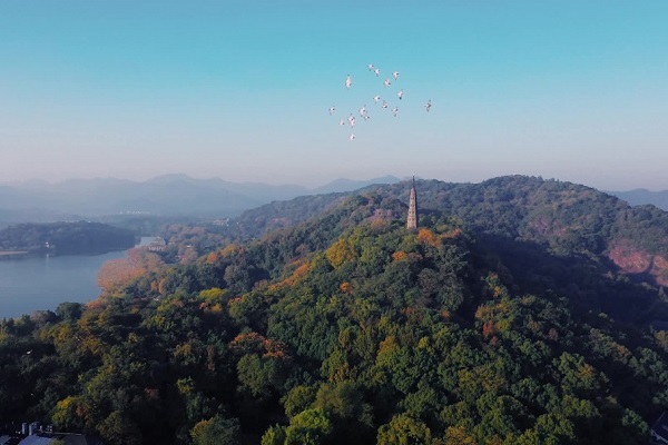 celebrating double ninth festival in hangzhou